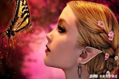 美国洛杉矶夏日轮滑派对